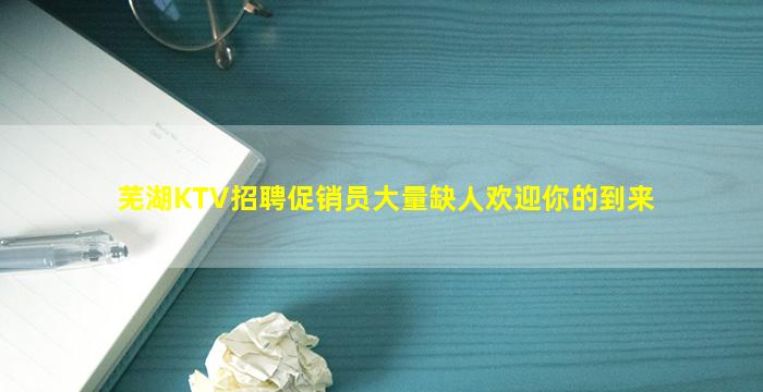 芜湖KTV招聘促销员大量缺人欢迎你的到来